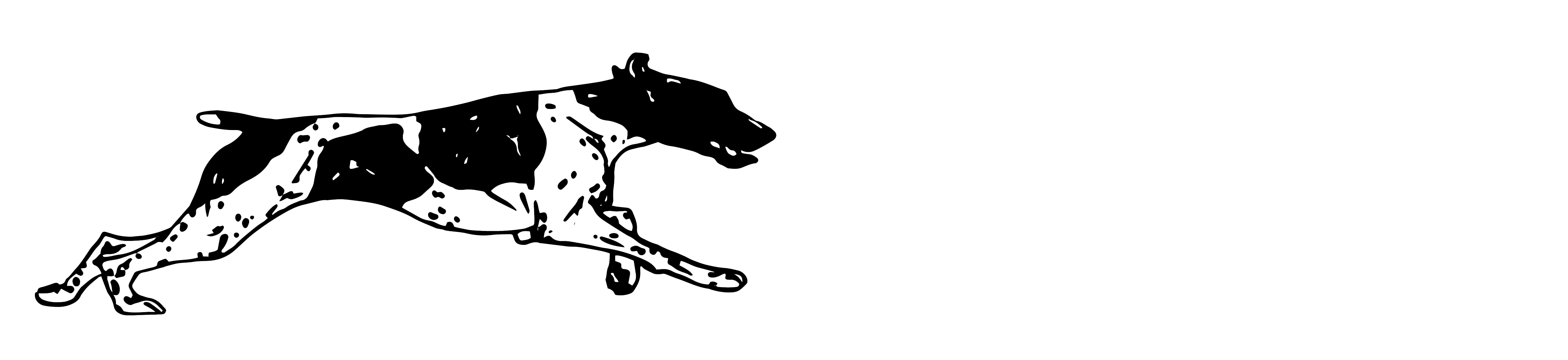 Blitz Pet Professionals