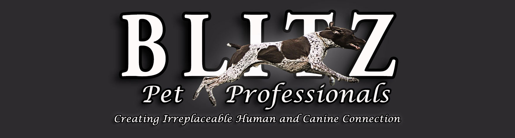 Blitz Pet Professionals Banner